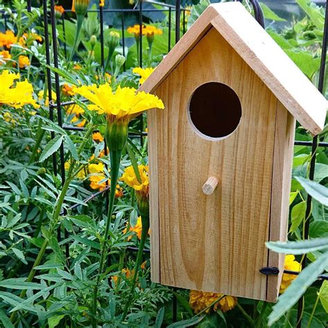 metal nest boxes for parrots|small bird nesting boxes.